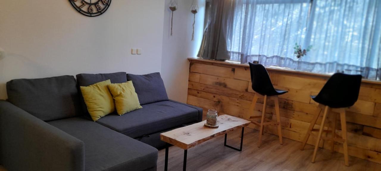 Apartamento El Sarrio Candanchú Buitenkant foto